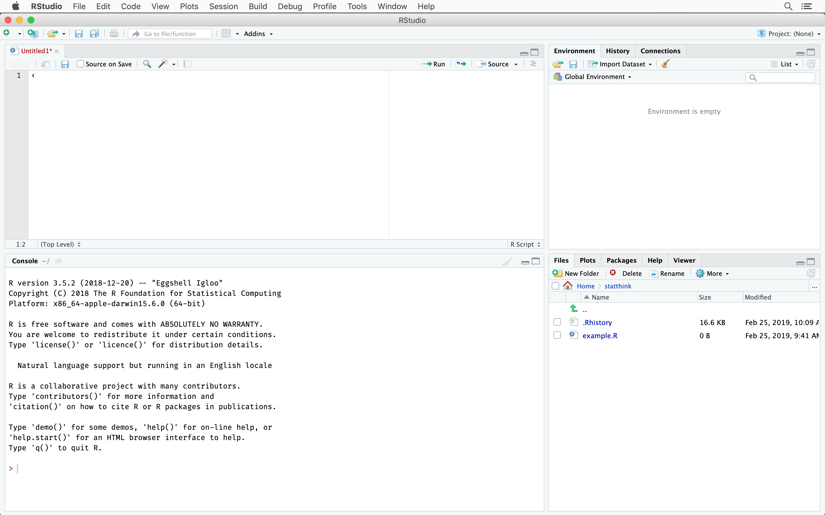 The RStudio interface